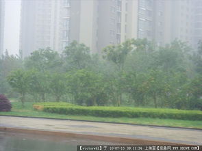 園林景觀工程設計、施工與資料應用全解析